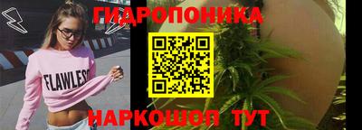 мяу мяу мука Канаш