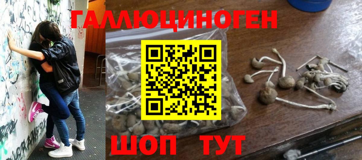 Галлюциногенные грибы Cubensis  Вход с VPN  Балтийск 